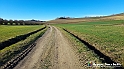 20230110_145241 - Dalla terra... il grano